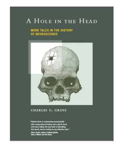 libro gratis A Hole in the Head- More Tales in the History of Neuroscience