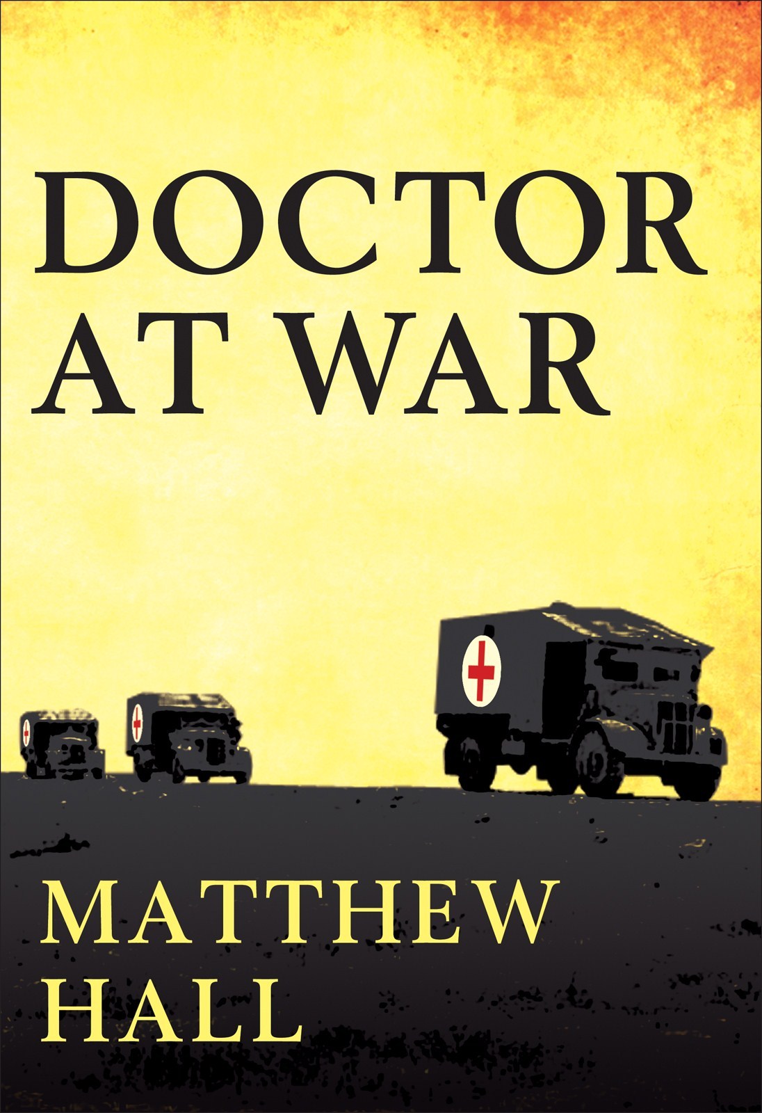 descargar libro A Doctor at War: The Story of Colonel Martin Herford: the Most Decorated Doctor of World War II