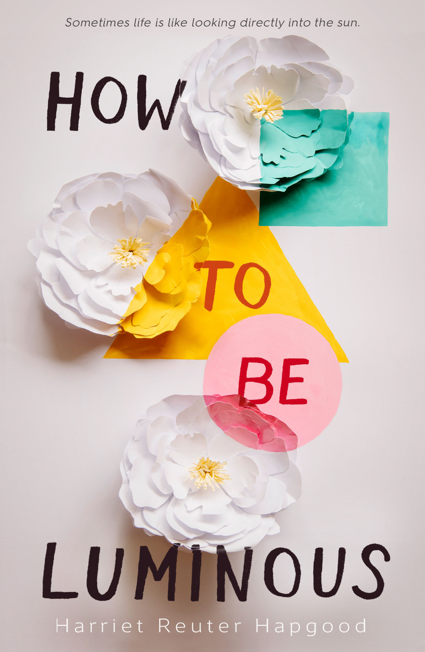 descargar libro How to Be Luminous