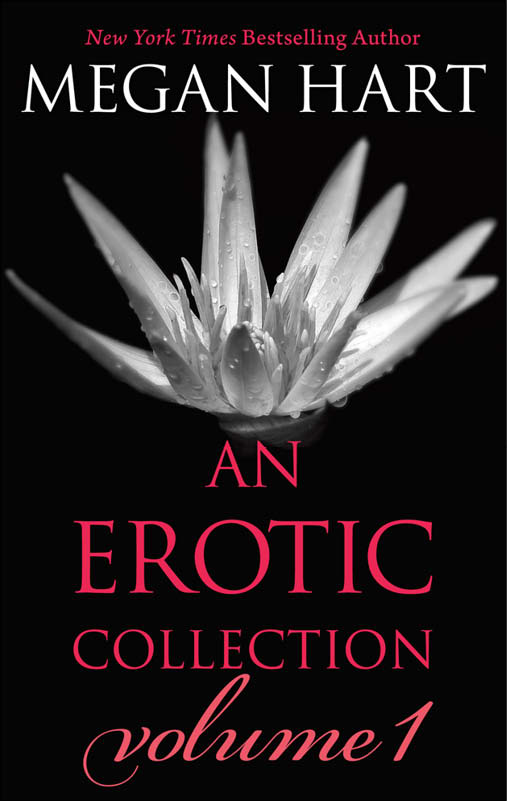 descargar libro An Erotic Collection Volume 1 (This Is What I Want; Indecent Experiment; Everything Changes; Layover)