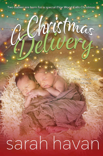 descargar libro A Christmas Delivery