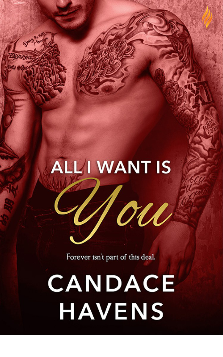 libro gratis All I Want is You