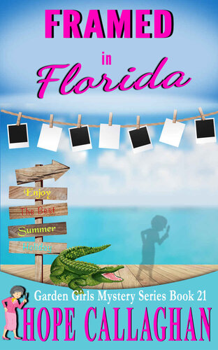 libro gratis Framed in Florida