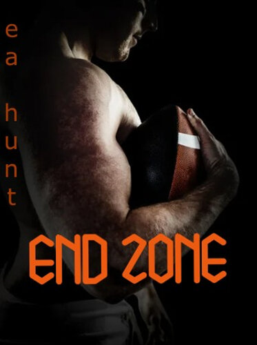 libro gratis END ZONE