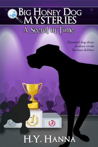 descargar libro A Secret in Time