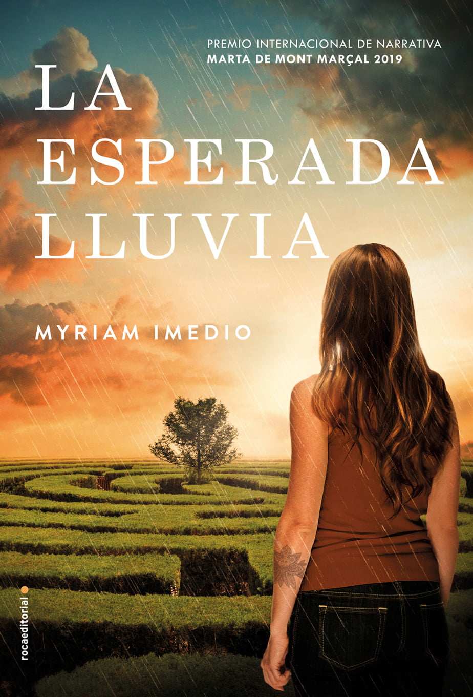 descargar libro La esperada lluvia