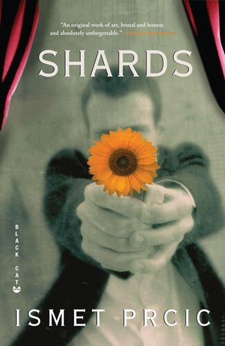 descargar libro Shards: A Novel