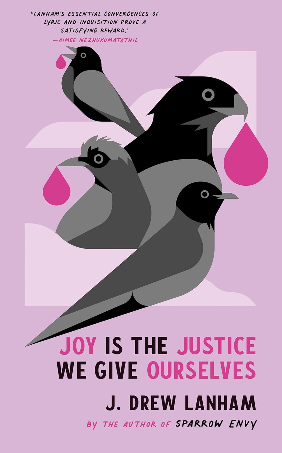 descargar libro Joy is the Justice We Give Ourselves