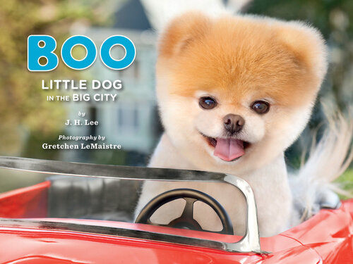 libro gratis Boo: Little Dog in the Big City