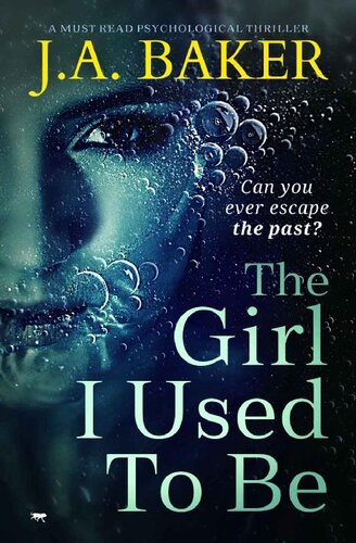 descargar libro The Girl I Used To Be