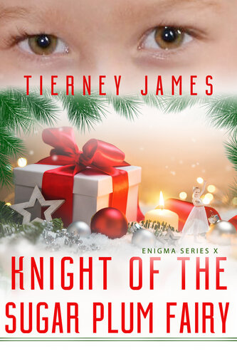 descargar libro Knight of the Sugar Plum Fairy (Enigma Series Book 10)