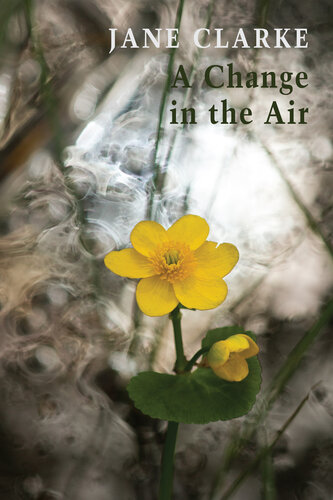 descargar libro A Change in the Air