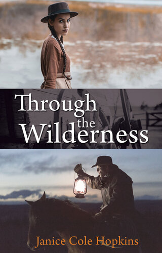 descargar libro Through the Wilderness