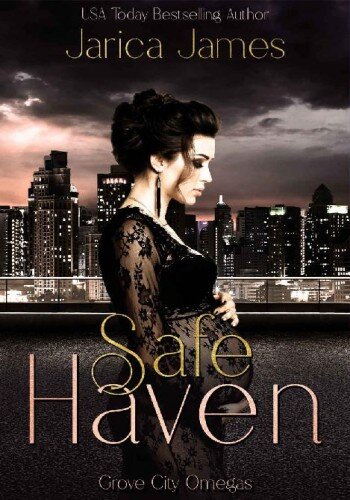 descargar libro Safe Haven