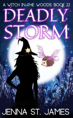 descargar libro Deadly Storm: A Paranormal Women's Midlife Fiction & Cozy Mystery (A Witch in the Woods Book 22)