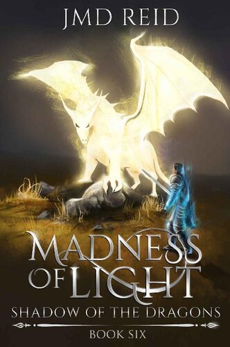 descargar libro Madness of Light