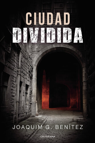 descargar libro Ciudad dividida