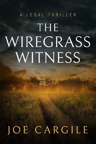 descargar libro The Wiregrass Witness: A Legal Thriller (Blake County Legal Thrillers Book 3)