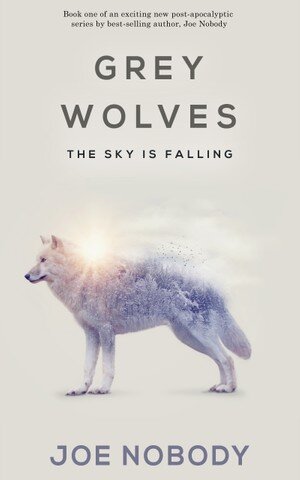 descargar libro The Sky Is Falling