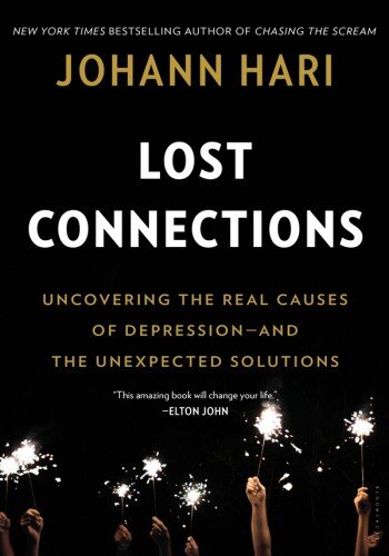 descargar libro Lost Connections