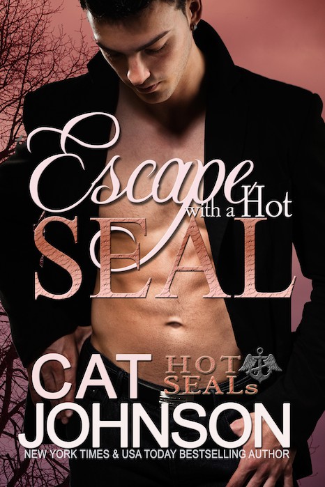 descargar libro Escape with a Hot SEAL