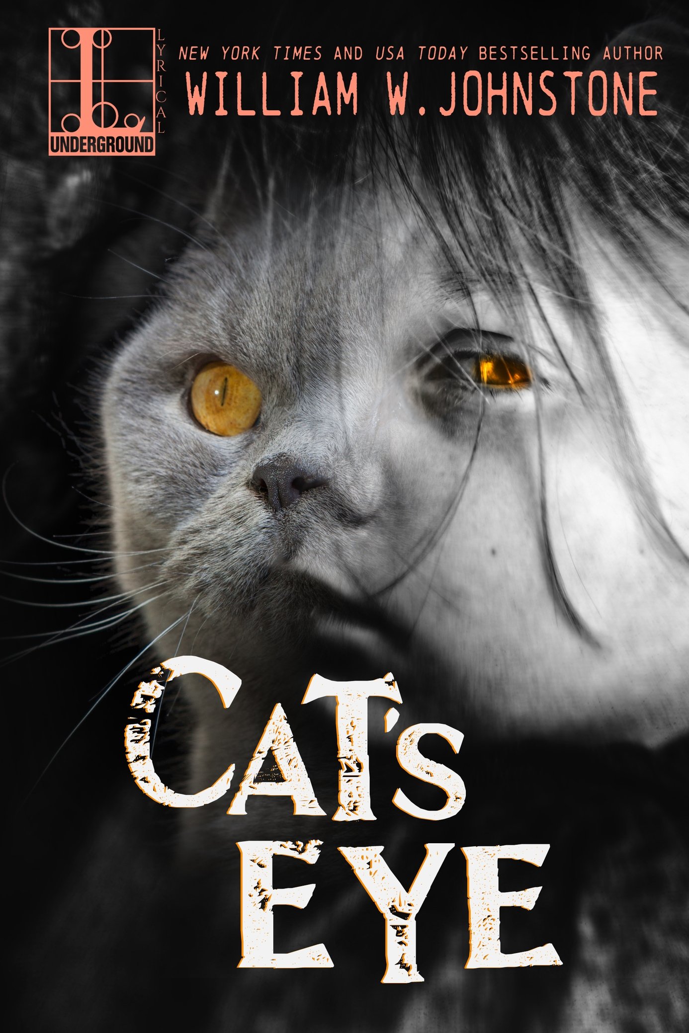 libro gratis Cat's Eye