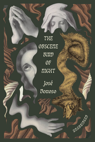 descargar libro The Obscene Bird of Night