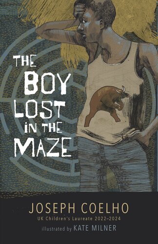 descargar libro The Boy Lost in the Maze