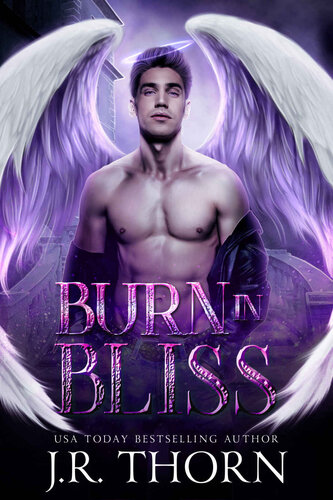 libro gratis Burn in Bliss