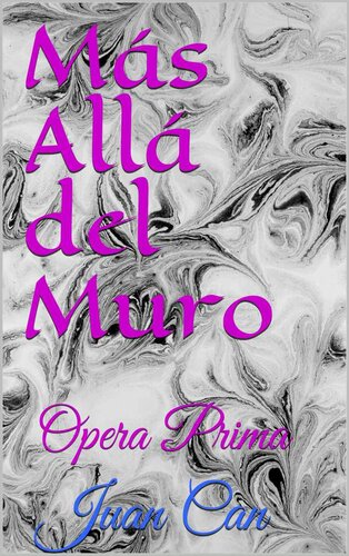 descargar libro Más Allá del Muro: Opera Prima