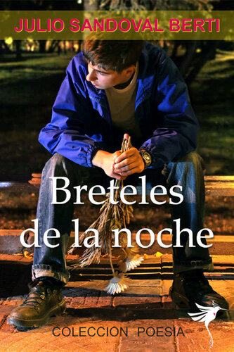 descargar libro Breteles de la noche