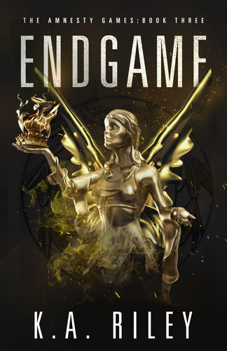 descargar libro Endgame (The Amnesty Games Book 3)