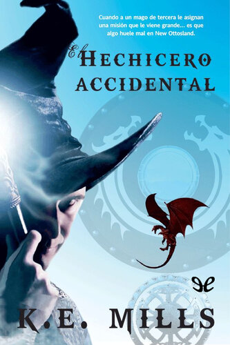 descargar libro El hechicero accidental