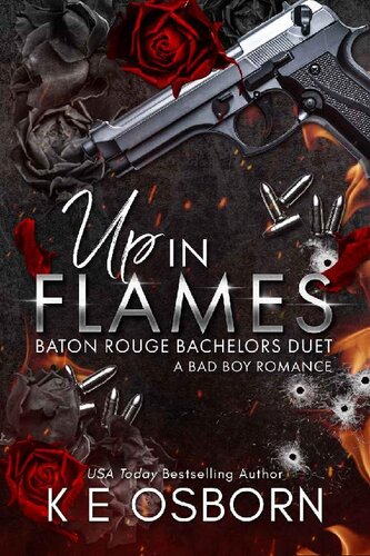 libro gratis Up in Flames