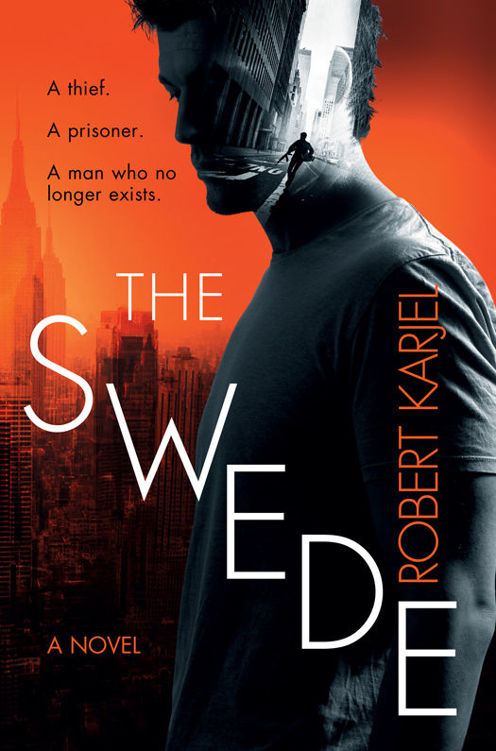 descargar libro The Swede (My Name is N)