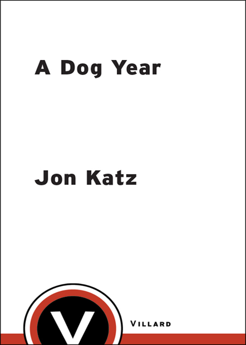 descargar libro A Dog Year: Twelve Months, Four Dogs, and Me