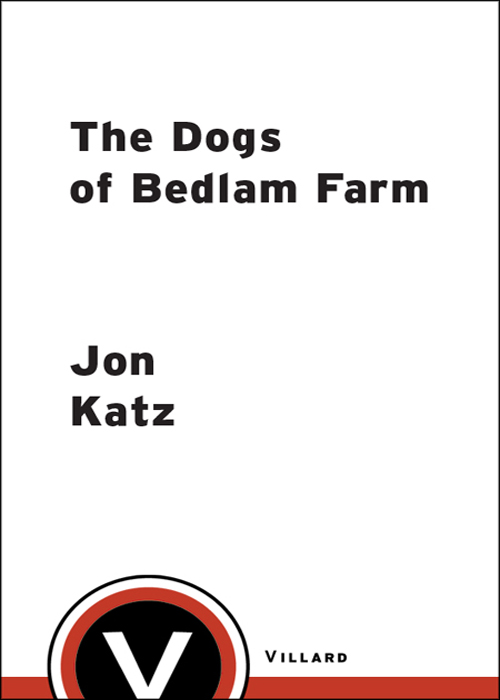 descargar libro The Dogs of Bedlam Farm: An Adventure with Sixten Sheep, Three Dogs, Two Donkeys, and Me