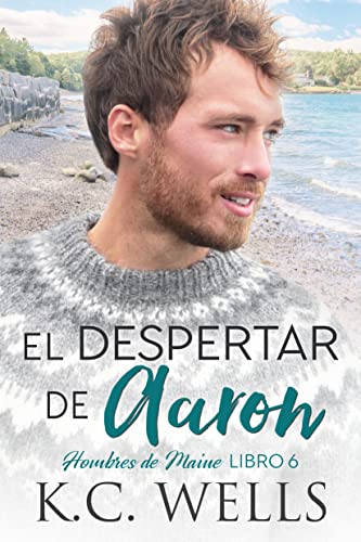 descargar libro El despertar de Aaron