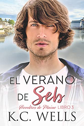 libro gratis El Verano de Seb