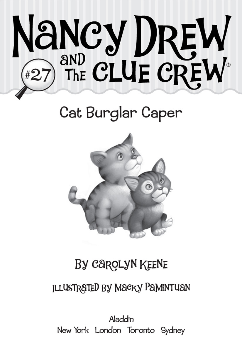 descargar libro Cat Burglar Caper