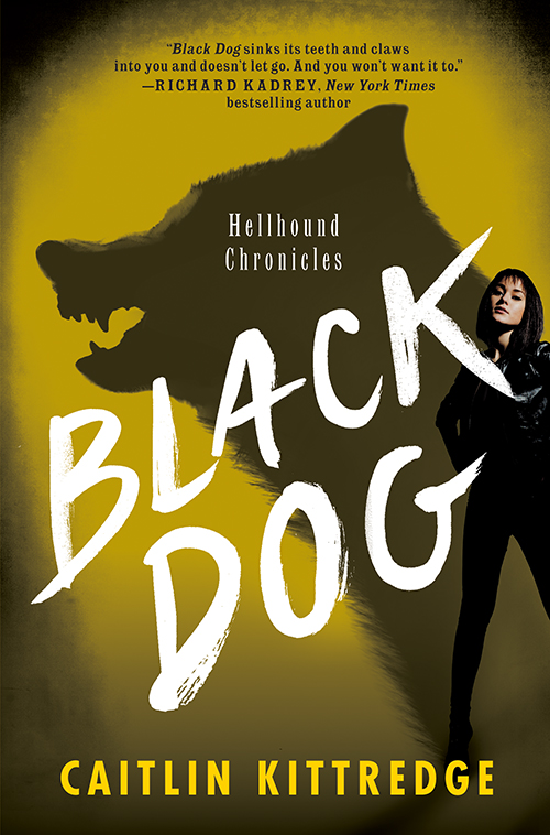 descargar libro Black Dog