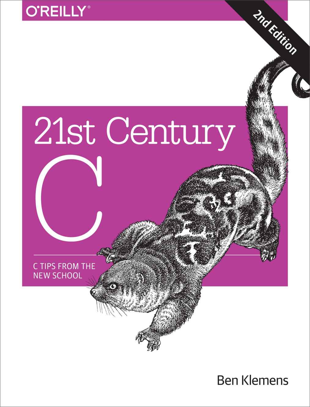 descargar libro 21st Century C: C Tips from the New School