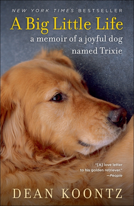 descargar libro A Big Little Life A Memoir of a Joyful Dog Named Trixie