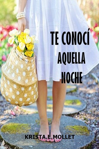 libro gratis TE CONOCÍ AQUELLA NOCHE ( ROMÁNTICA - NUEVA EDICIÓN): Romántica erótica (Spanish Edition)