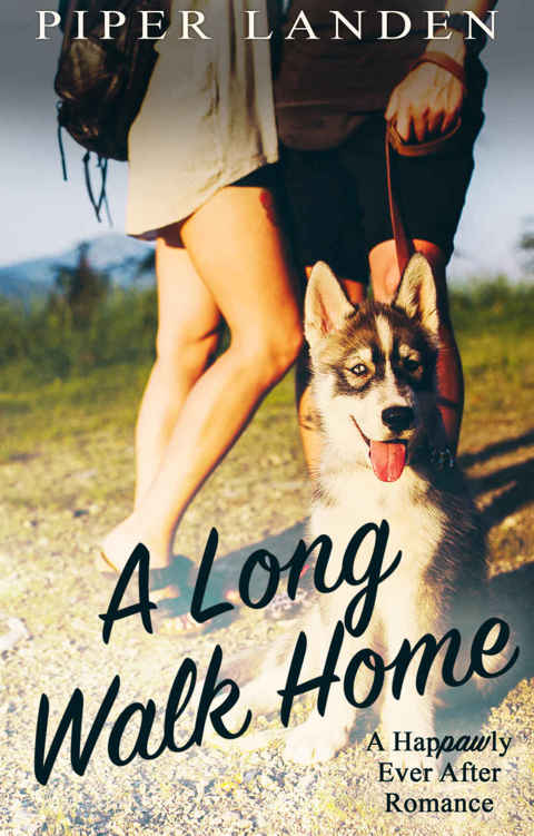 descargar libro A Long Walk Home