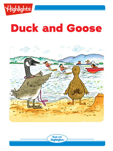 descargar libro Duck and Goose