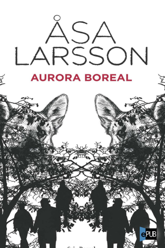 libro gratis Aurora boreal