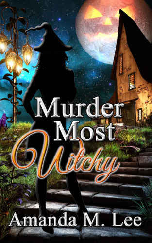 descargar libro A Wicked Witches of the Midwest 10