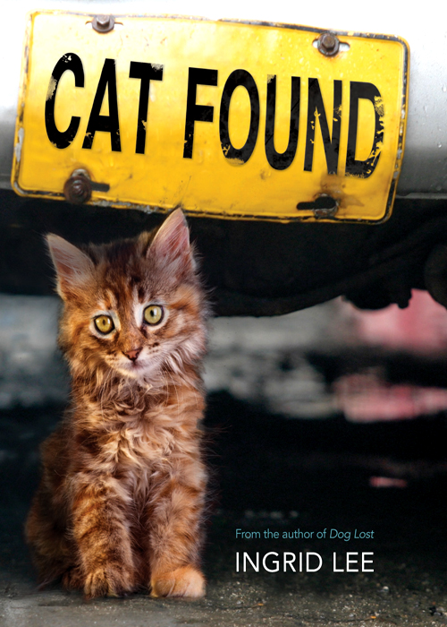 descargar libro Cat Found