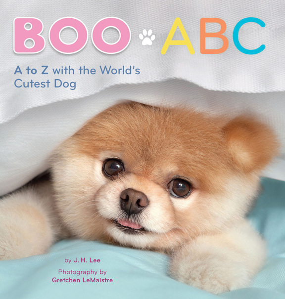 descargar libro Boo ABC: A to Z with the World's Cutest Dog